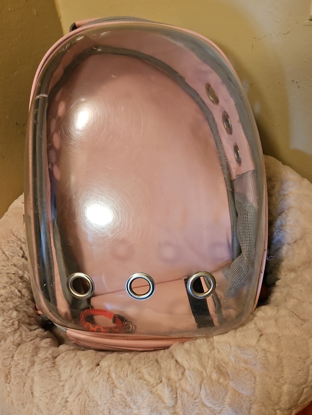 Pink Bubble Backpack Pet Carrier with Clear Dome